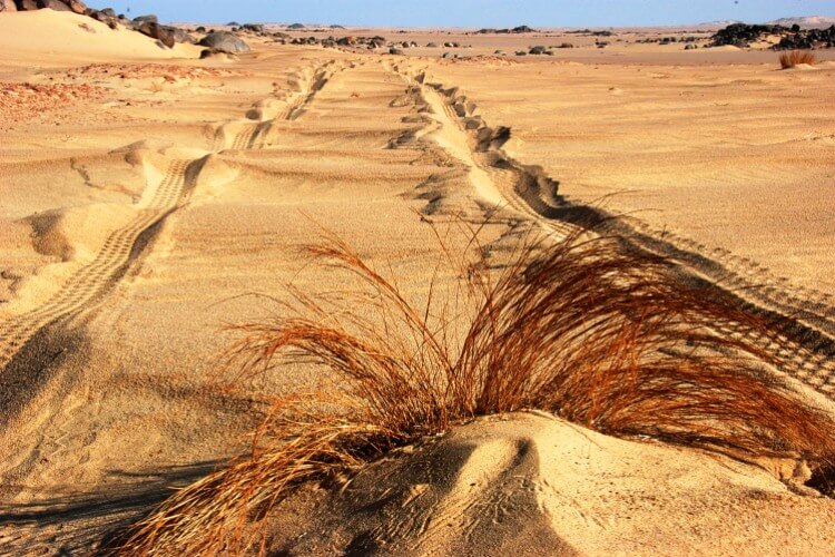 La Terra di Amu