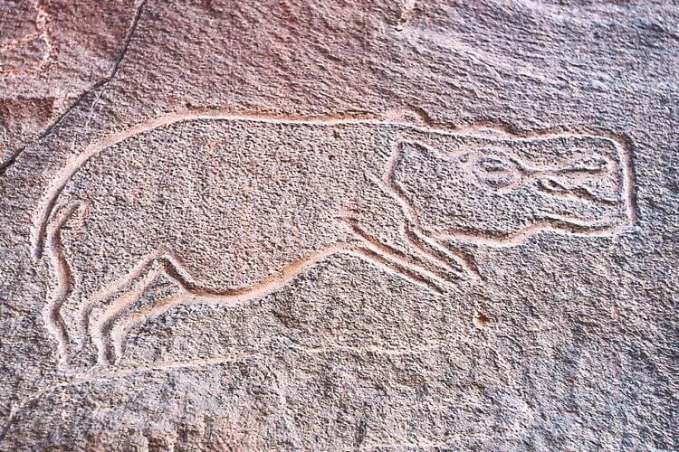 Pagine Di Pietra I Graffiti Preistorici Del Wadi Bergiug Libia Museo Castiglioni Varese Museo Etnoarcheologico